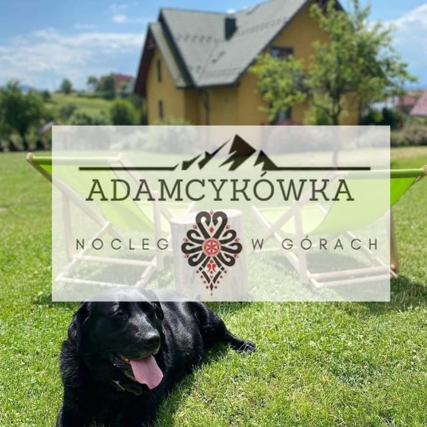 Apartamenty Adamcykowka Blisko Velo Czorsztyn! Kluszkowce Buitenkant foto