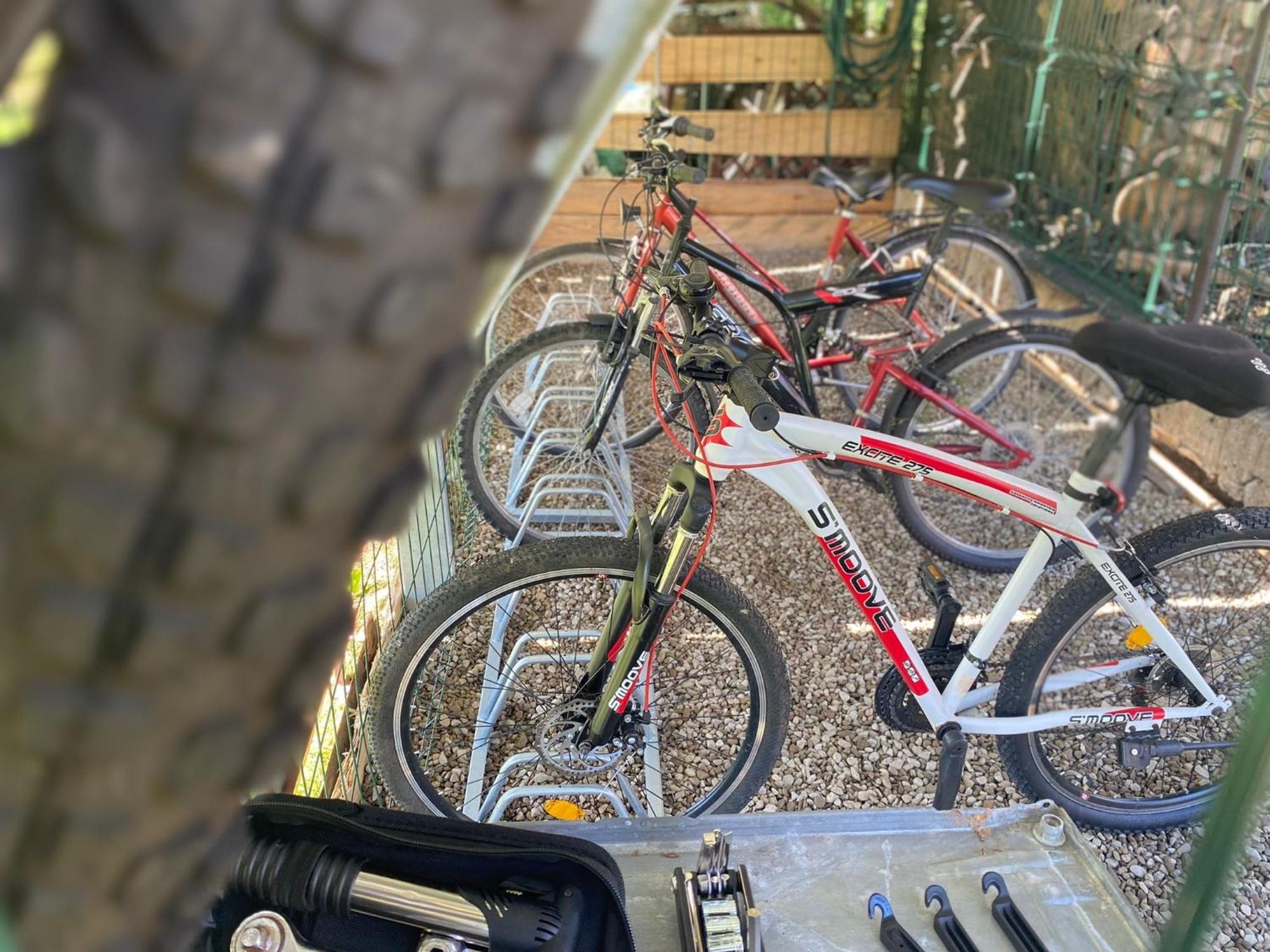 Apartamenty Adamcykowka Blisko Velo Czorsztyn! Kluszkowce Buitenkant foto