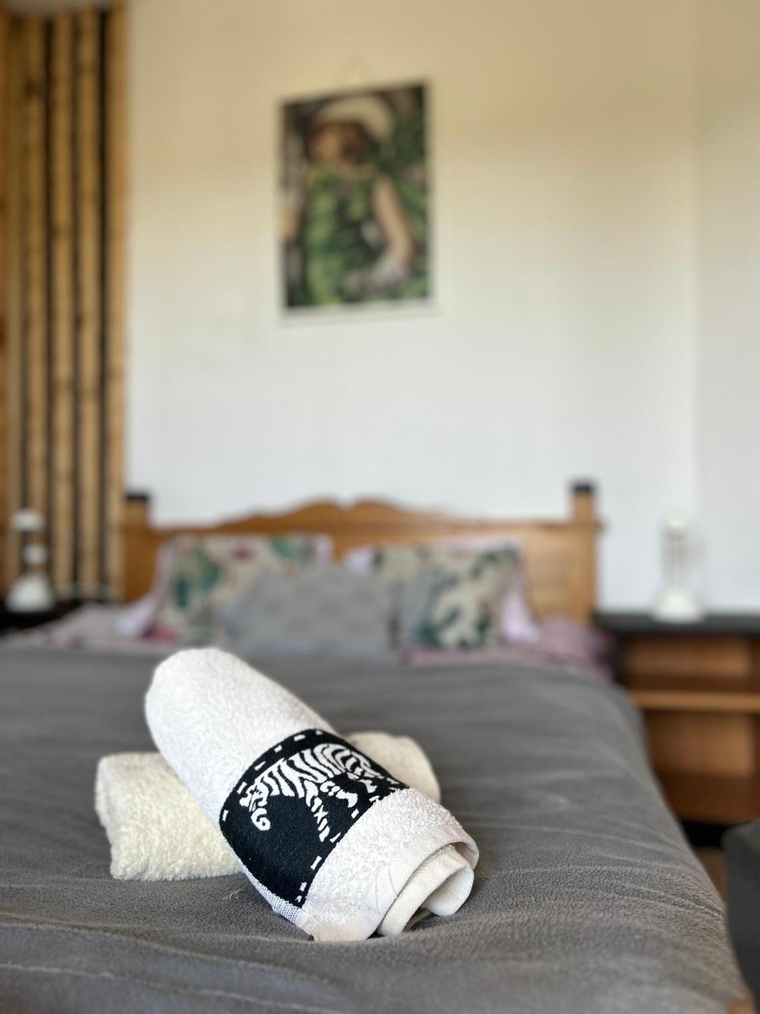 Apartamenty Adamcykowka Blisko Velo Czorsztyn! Kluszkowce Buitenkant foto