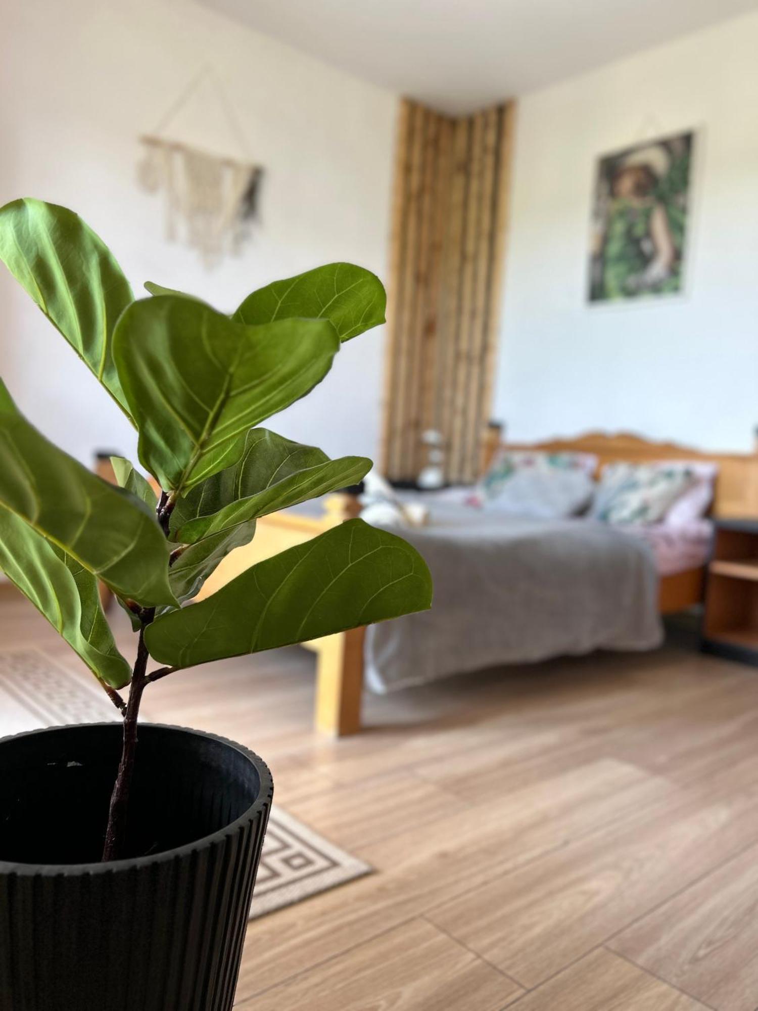 Apartamenty Adamcykowka Blisko Velo Czorsztyn! Kluszkowce Buitenkant foto